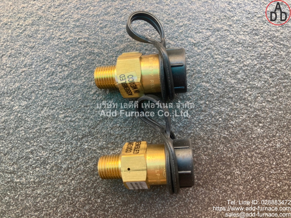 Fisher H110-250 Relief Valve(4)